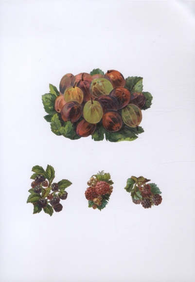 4 Oblaten Beeren, Stachelbeeren, Himbeeren, Brombeeren, ca. 8 x 12 cm bis 3,5 x 4 cm