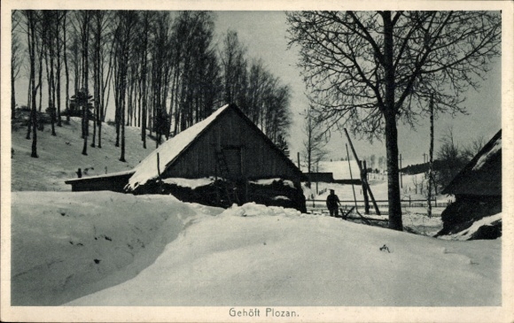 KP Kurlandia Łotwa, gospodarstwo Plozan zimą, 1916/1917