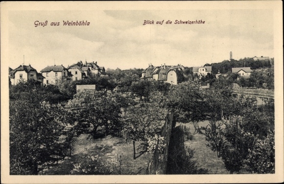 Ak Weinböhla in Sachsen, Blick auf die Schweizerhöhe
