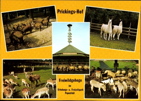 Ak Haltern am See Westfalen, Prickings Hof Freiwildgehege im Erholungs- u. Freizeitpark Papenfeld
