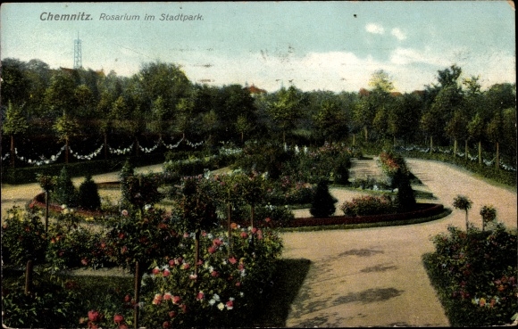 PC Chemnitz Sachsen, lot at the rose garden in the city park