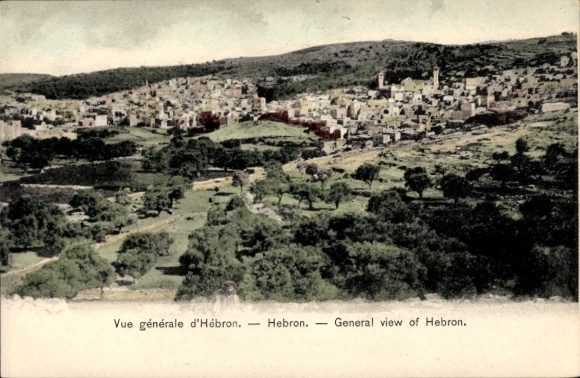 Ak Hebron Palästina, Allgemeine Ansicht von  Landschaft, Bäume, Gebäude