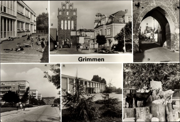 Ak Grimmen in Mecklenburg-Vorpommern, kleuterschool, Mühlentor, gymnasium, dierentuin