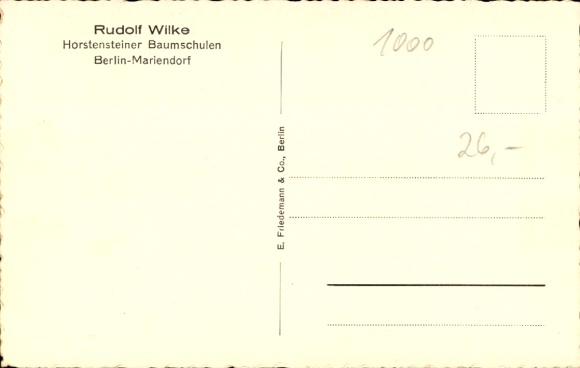 Ak Berlin Tempelhof Mariendorf, Horstenstein, Horstensteiner Baumschulen Rudolf Wilke