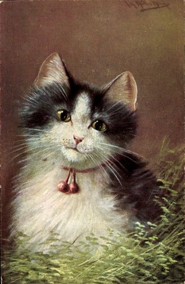 Artist Postcard Müller, August, cat with black and white fur in the grass