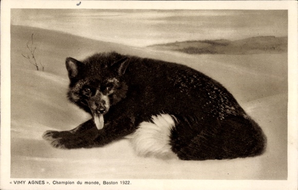 CPA Vimy Agnes, Champion of the World, Boston 1922