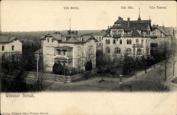 Ak Dresden Weißer Hirsch, Villen Bertha, Alke, Therese, Landschaft mit Bäumen, Schwarz-Weiß-Foto