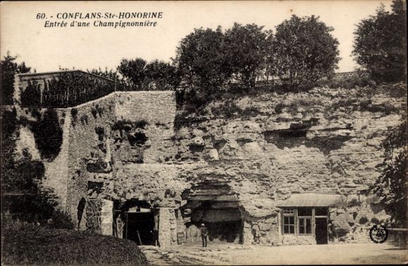 Ak Conflans Sainte Honorine Yvelines, Entree d'une Champignonniere