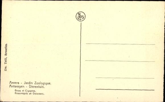 Postcard Anvers Antwerp Flanders, Jardin Zoologique, Grues et Cigogne