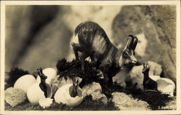 Artist PC Greetings from the high mountains, chamois family, eggs