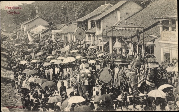 Postcard Sri Lanka Ceylon, Kandy Perahara, Procession, Elephants, Local Part