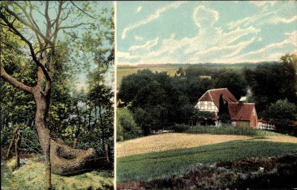 Postcard Bendestorf am Kleckerwald in Lower Saxony, Restaurant Zum Schlangenbaum, owner F. Meyer
