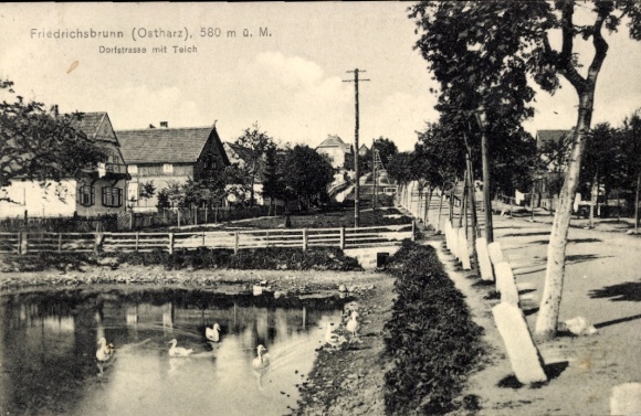 Ak Friedrichsbrunn Thale im Harz, Dorfstraße mit Teich, 580 m ü. M.,  Architektur
