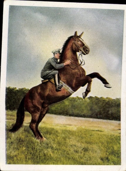 Sammelbild Auf deutscher Scholle, Hans v. d. Nordmark, Bild Nr. 89, Hohe Schule, Pferd, Reiter