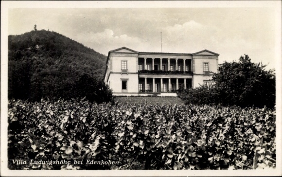 Ak Edenkoben an der Haardt Pfalz, Villa Ludwigshöhe