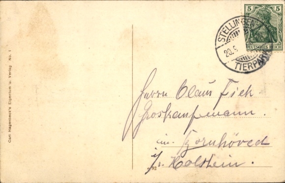 Postcard Hamburg Eimsbüttel Stellingen, Carl Hagenbecks Tierpark, Hamadryas baboons on the rock