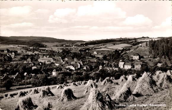 Postcard Hachen Sundern in Sauerland, Panorama, hay harvest