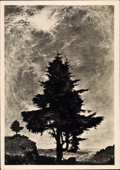 Artist PC Kriegel, Willy, Mittag, HDK 516, conifer, Photo Hoffmann