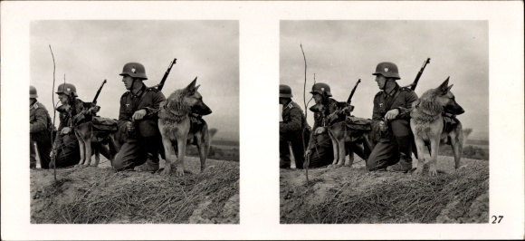 Stereo spatial image photo &quot;The fight in the west&quot;, No. 27 reporting dogs in action