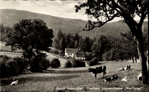 Postcard Neue Sorge Waltersdorf Großschönau in Upper Lusatia, Gasthaus Neu-Sorge