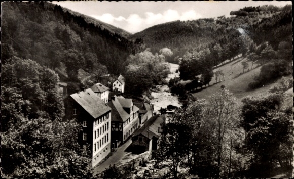 Ak Monschau Montjoie in der Eifel, Rosental, Häuser, Wald
