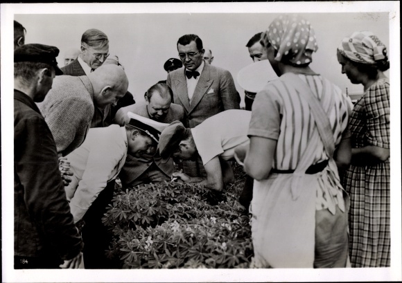 Foto Hoffmann, Müncheberg Märkisch Oderland, Kaiser Wilhelm Institut, Göring, Züchtungsforschung
