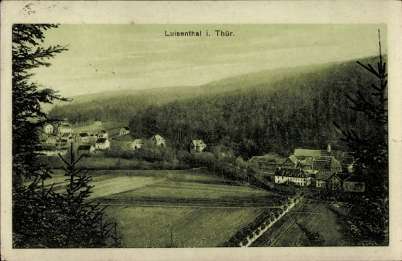 Ak Luisenthal im Thüringer Wald, Landschaftsaufnahme, Hügel, Gebäude, Felder, Bäume