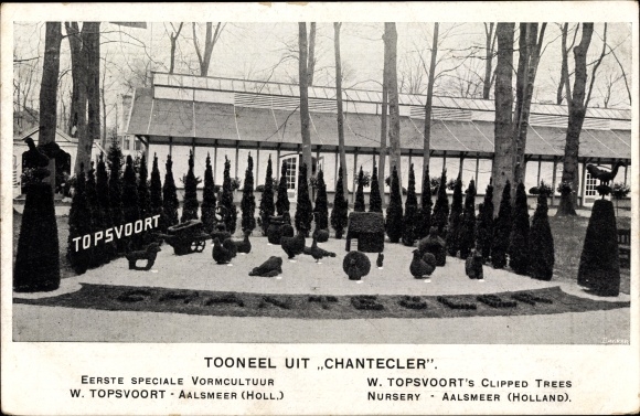 Postcard Aalsmeer Nordholland Niederlande, Tooneel uit Chantecler, Vormcultuur W. Topsvoort