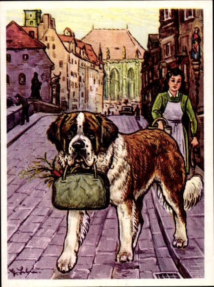 Collector's Single Image Austria Bildwerk Comrade Dog Series I Image 15, The St. Bernard