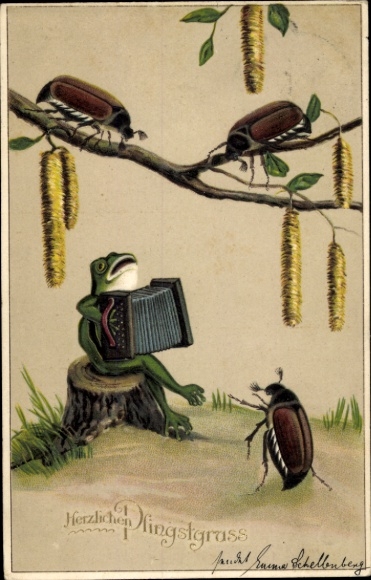 Litho Glückwunsch Pfingsten, Maikäfer, Frosch