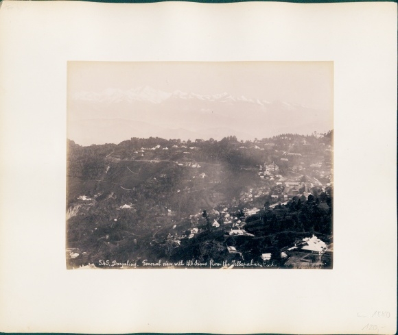 Photo Darjeeling India, landscape, palm trees