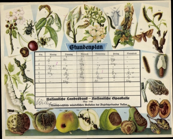 Timetable Nassauische Landesbank &amp; Sparkasse, plant protection around 1930