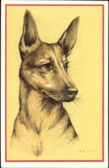 Artist PC Cooper, MB, dierenportret, hondenportret, Basenji