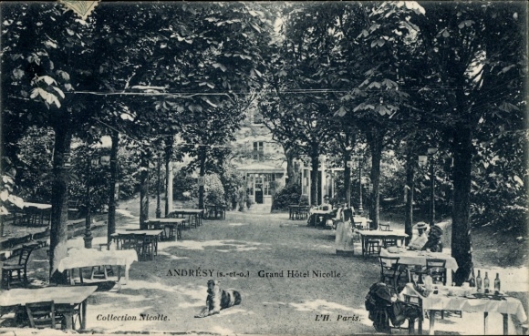 Ak Andrésy Yvelines, Garten des Grand Hôtel Nicolle, Bäume, Tische, Stühle, Hund