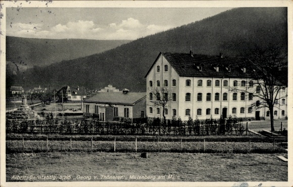 Ak Miltenberg am Main Unterfranken, Reichsarbeitsdienst Abteilung 3/285 Georg von Thönerer