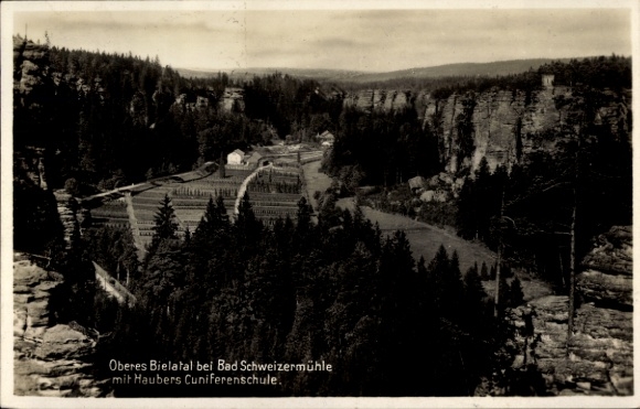 Ak Bad Schweizermühle Rosenthal Bielatal in Saksen, Opper-Bielatal, Haubers Cuniferenschule, Wa