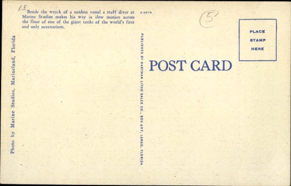 Postcard Florida USA, Marineland, Marine Studios, diver examines a wreck