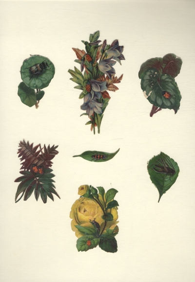 7 wafers leaves and flowers with beetles and insects, approx. 11 x 6 cm to 1.5 x 5 cm