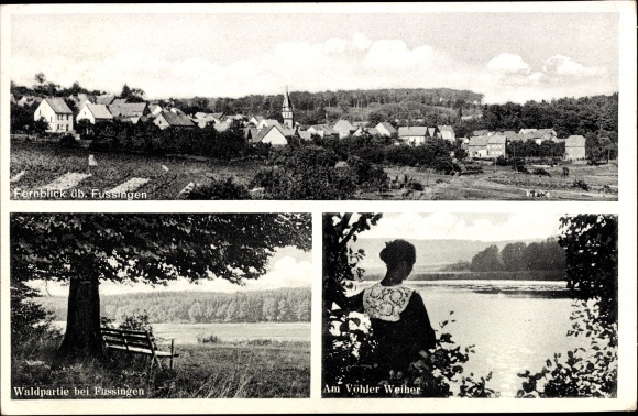 PC Fussingen Waldbrunn in the Westerwald Hesse, general view, woman at the Vöhler Weiher, forest area
