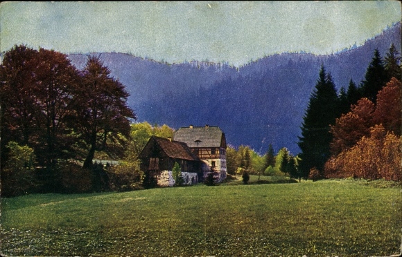 Ak Rübenau Marienberg in het Ertsgebergte van Saksen, Natzschung-vallei