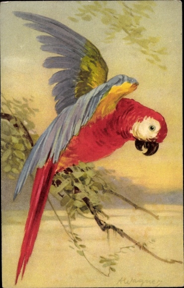 Artist Postcard Wagner, A., Macaw, Parrot