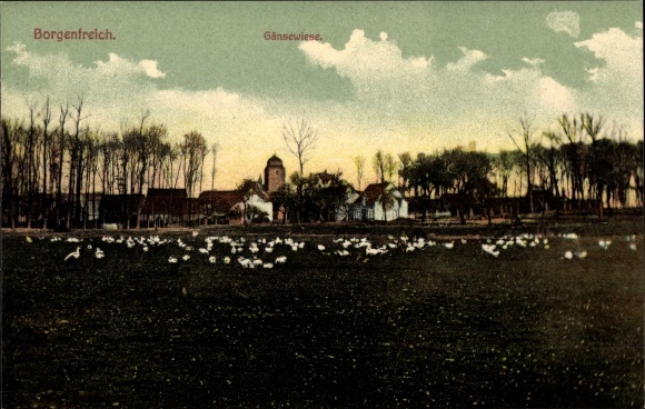 Ak Borgentreich in Westfalen, Gänse auf der Gänsewiese, Blick auf den Ort