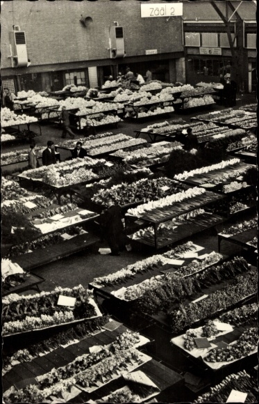 Postcard Aalsmeer North Holland Netherlands, Interior view of the flower auction hall