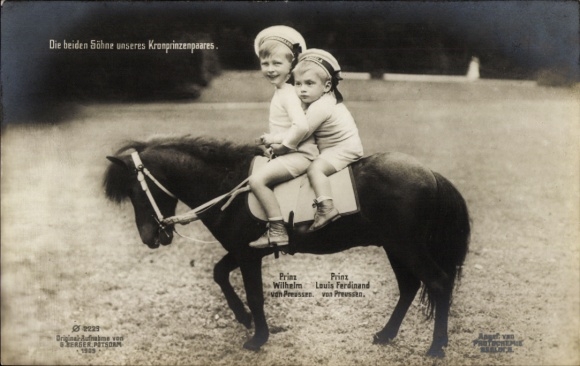 Postcard The two sons of the Crown Prince couple, Prince Wilhelm and Prince Louis Ferdinand on a pony