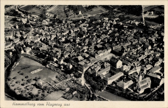 Postcard Hammelburg in Lower Franconia Bavaria, aerial view of residential buildings, agricultural areas