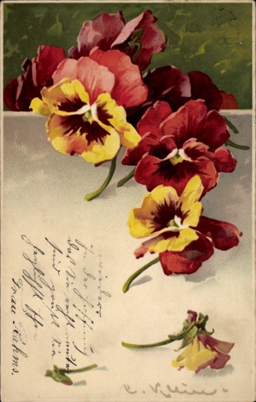 Artist Chromo-Litho Klein, Catharina, Flowers, Pansies, Meissner & Buch 1668