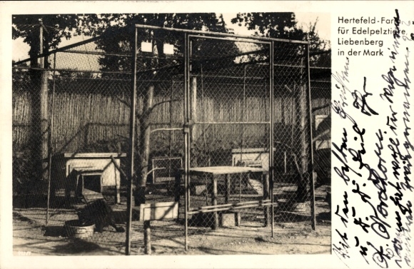 Postcard Liebenberg Löwenberger Land in the Mark, Hertefeld farm for precious fur animals