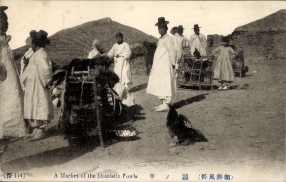 Ak Korea, Market of the Domistic Fowls