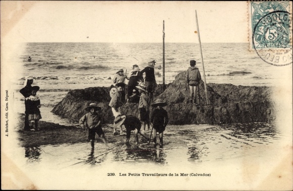 Postcard Calvados, The Little Workers of the Sea