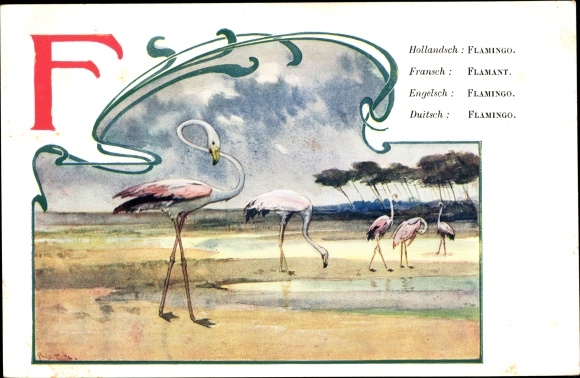 Letters Artist Postcard Titz, L., Flamingos, Flamingo, Flamant